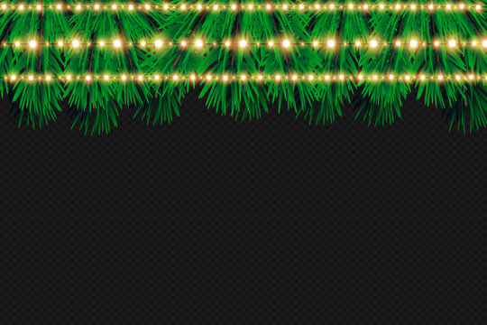 Christmas lights isolated on transparent background. Christmas glowing garlands on a green tree ..