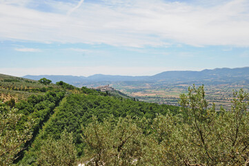 Naklejka premium Le colline dell'Umbria verso Trevi