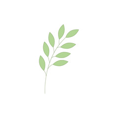 Green twig with leaves. Element for design, logo, banner. Vector.