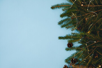 Obraz premium Layout made of Christmas tree branches on blue background. Nature New Year concept.