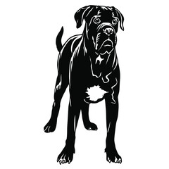 Cane corso dog clipart. Standing dog. Young Corso Cutting Vector File. Black dog animals. Cricut file