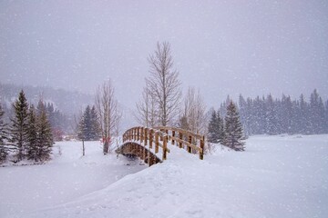Snow Day At A Park In Banff National Park