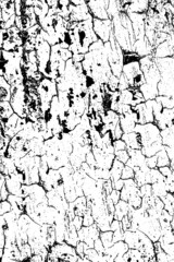 Obraz premium Grunge background black and white