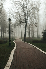 Fog in the forest. Old park in the city in the fog.