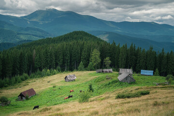 village near carpathian landscape in the evening