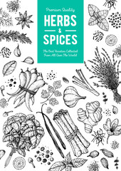Herbs and spices hand drawn vector illustration. Aromatic plants. Hand drawn food sketch. Great for package. Vintage illustration. Card design. Sketch style. Spice and herbs black and white design.