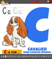 letter C from alphabet with cartoon cavalier dog animal character