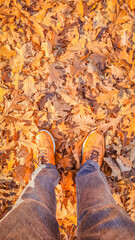 feet on the leaves
