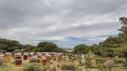Vega Baja del Segura - Guardamar - Instantes de Guardamar