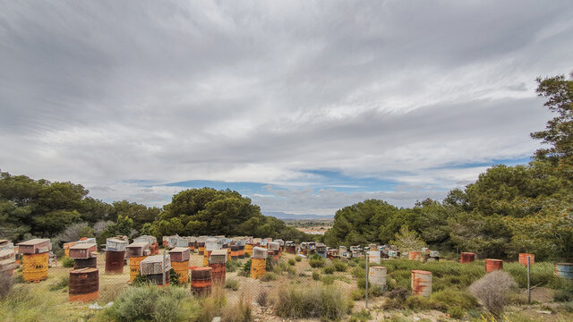 Vega Baja del Segura - Guardamar - Instantes de Guardamar