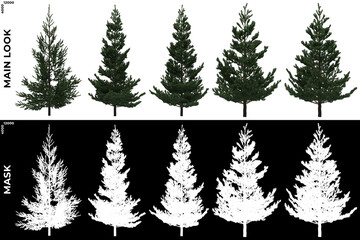 Fototapeta premium 3D Rendering of Generic Trees with alpha mask to cutout and PNG editing. Forest and Nature Compositing. 