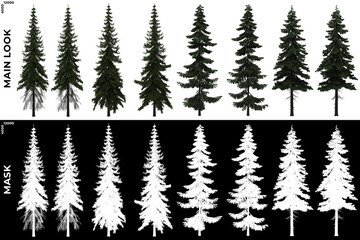 3D Rendering of Trees (Generic Pines) with alpha mask to cutout and PNG editing. Forest and Nature Compositing.	
