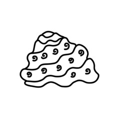 seashell sketch. vector illustration in doodle style 