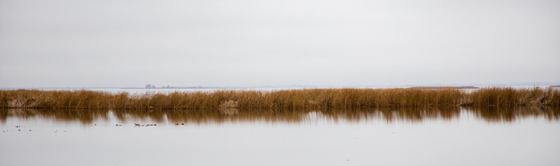 panoramic view of calm lake early morning