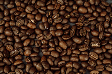 Close Up of Coffee Beans on Dark Background