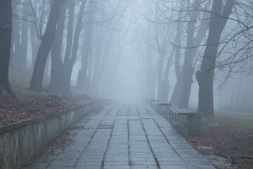 Park alley in the fog. Autumn background.