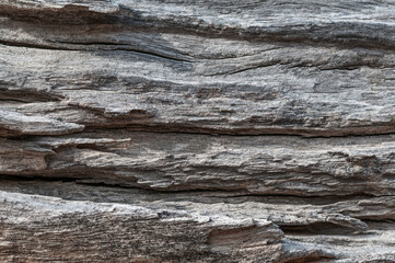 Wood texture / Rustic gray wood background with structural effect.