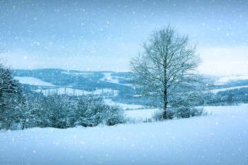 Winter landscape with snow covered trees .Christmas background.