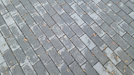 Gray wet paving slabs in the fall. View from above.