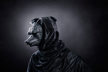 Wolf in hooded cloak at night over dark misty background