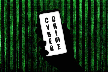 Cyber Crime