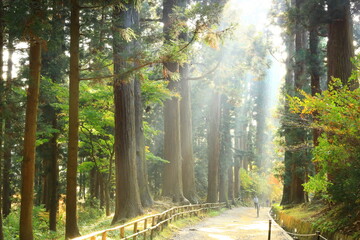 Obraz premium 世界遺産 岩手県平泉町 紅葉の中尊寺