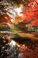 Fototapeta premium 世界遺産 岩手県平泉町 紅葉の中尊寺