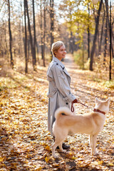 lady with pet dog akita inu posing outside, walking in park or forest. good-looking short-haired female in elegant autumn coat stand with dog in contemplation of cozy weather, feel happiness