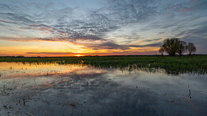 Nastrojowy zachód słońca na tle mokradeł, Biebrzański Park Narodowy