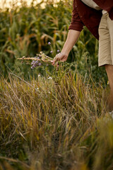 Fototapeta na wymiar Cropped male hands taking wildflowers from field, close-up hands. nature, fresh flowers plants, summer concept