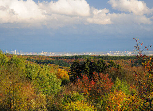 Aerial View From The Zauberberg In Ruppertshain To The Foliage Around Frankfurt Am Main Hesse Germany On A Beautiful Autumn Day With A Clear Blue Sky And A Few Clouds