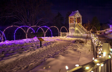 Winter park Christmas scene at night