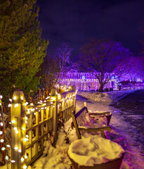 Winter night park Christmas scene 