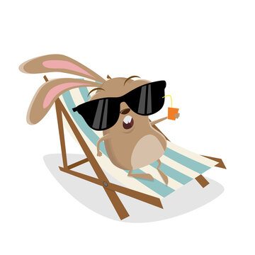 funny cartoon rabbit relaxing on sunbed
