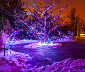 Winter Landscape Christmas Lights