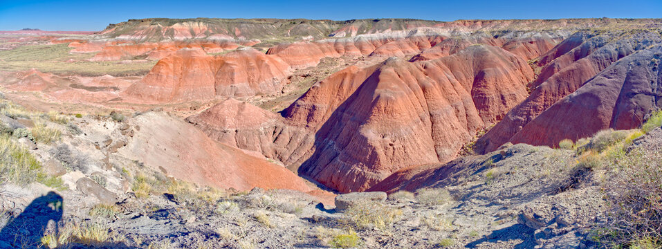 Shadow of a photographer taking a photo, Whipple Point, Petrified Forest National Park, Arizona, USA