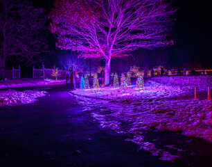 Winter park trail at night with glowing Christmas trees