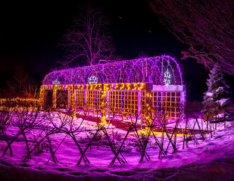 Winter path tunnel at night with Christmas lights