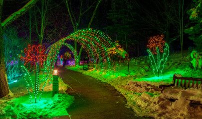 Christmas light tunnel over winter park path at night