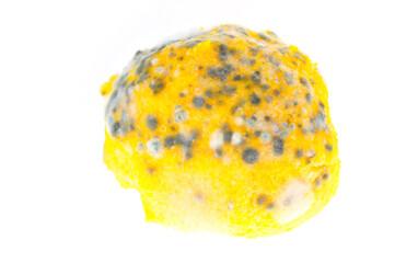 Moldy snacks on a white background