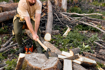 Fototapeta premium Lumberjack in casual shirt chops tree in deep forest with sharp ax. Brutal muscular male working alone, chopping trees, getting firewood. Side view. caucasian lamberjack in the evening outdoors
