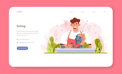 Wine production web banner or landing page. Grape selection and processing