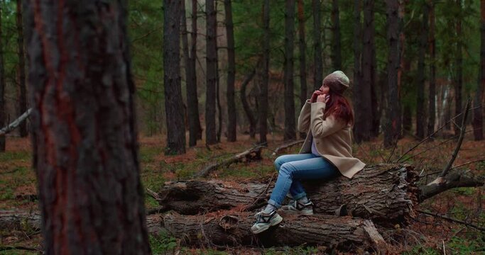 Beautiful coniferous forest, a dreaming woman sits on a fallen log and smiles. Tall tree trunks, dense fairy-tale forest. 4k, ProRes