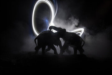 Battle of Elephants. Elephant fighing silhouettes on fire background or Two elephant bulls interact...