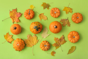 Ripe beautiful pumpkins and fallen leaves on green background