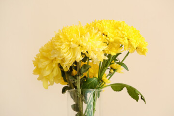 Vase with yellow chrysanthemum flowers  against light wall