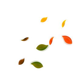 Falling autumn leaves. Red, yellow, green, brown n