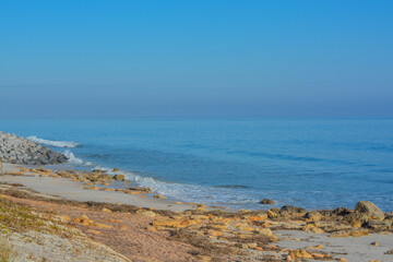 The rocky Atlantic Coast, at Marineland Beach in Marineland, Flagler County, Florida