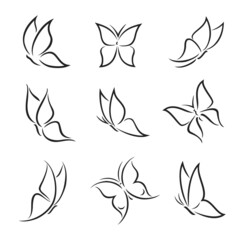 Outline butterfly silhouettes and contours. Moth vector insect logo with open and closed wings, isolated summer or spring butterfly. Tattoo design, spa or beauty salon symbol
