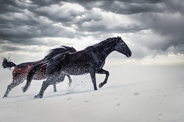 Two horses running across a winter pasture